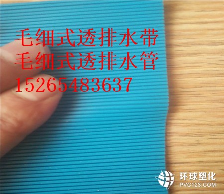 渭南毛細(xì)式透排水帶價(jià)格15265483637